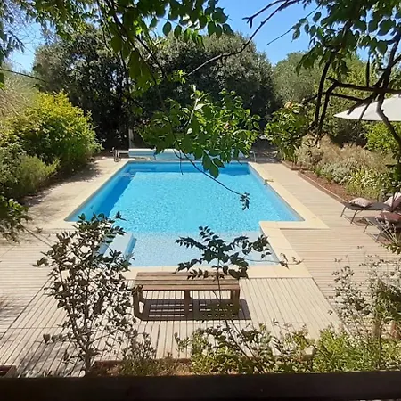 Apartment La Ginente *